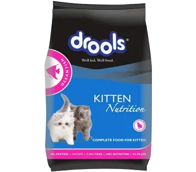 Drools store cat food